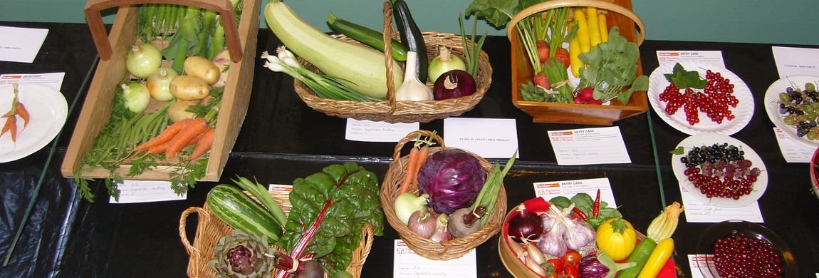 Some Prize Winners of the Anuual Garden and Produce Show