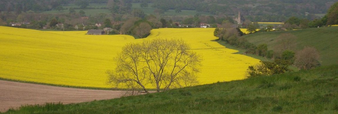 Early Spring from Dean Hill